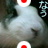 pochi_usa
