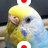 motsu2com