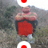tozxy
