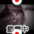 sarry_sakiko