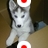 ichiro_tw